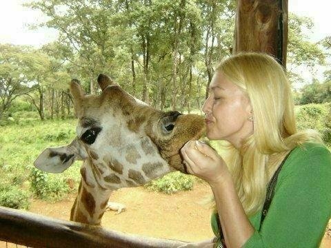 giraffelisa