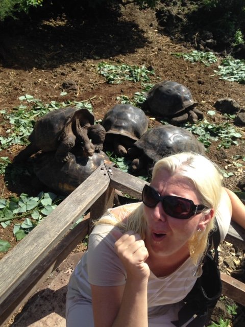 Galapagos tortuous