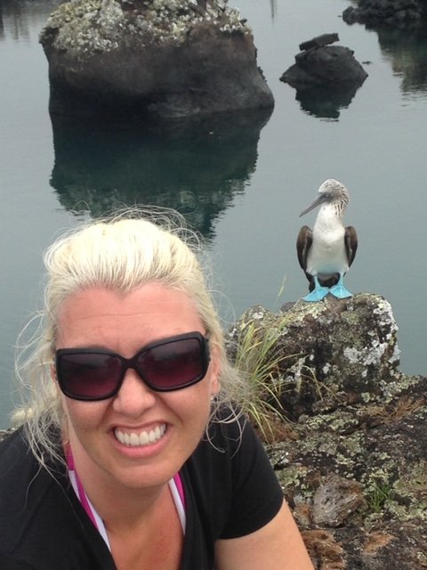 lisapenguin