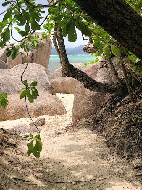 Anse Source d’Argent beach india, varinasi, ganges