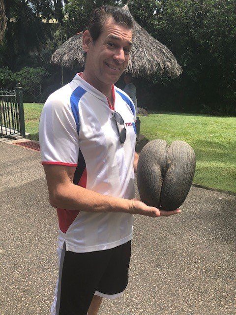 steveseed