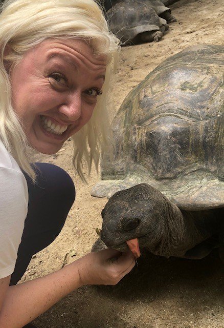 turtlefeeding