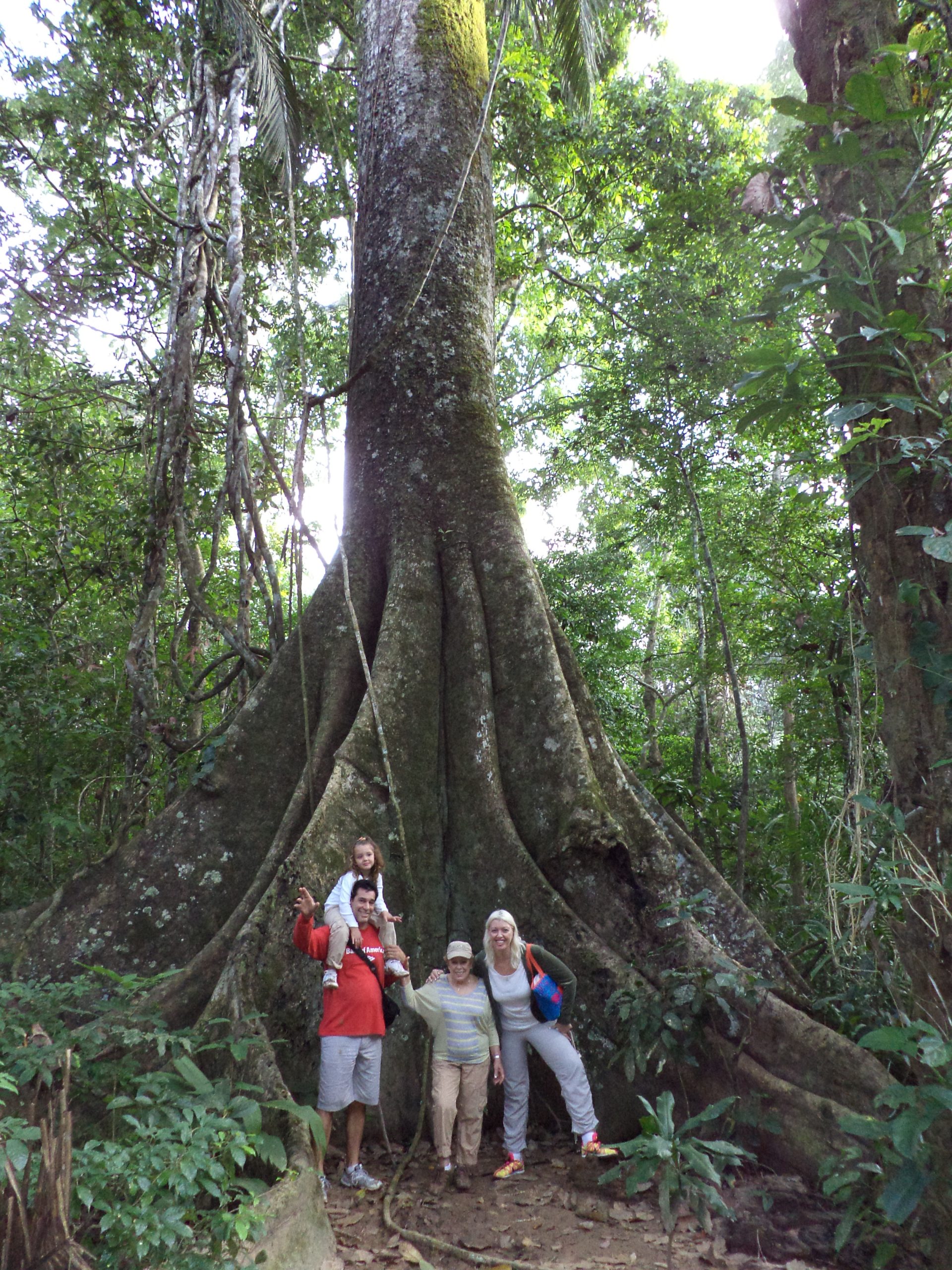 Amazon family